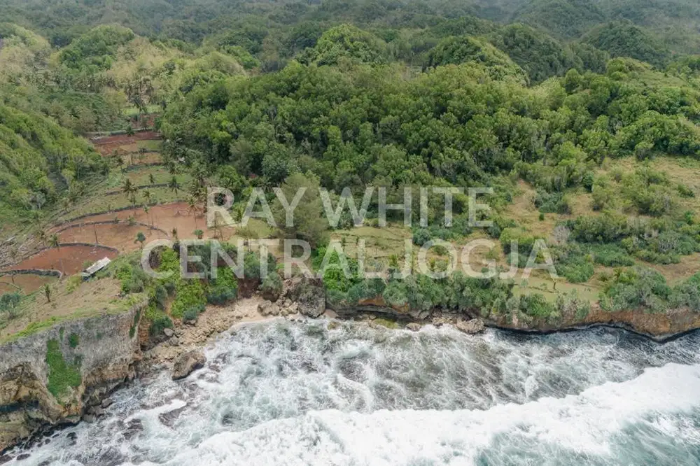 Dijual Tanah Luas 32.420 Meter Persegi Lokasi di Ngrenehan, Saptosari,