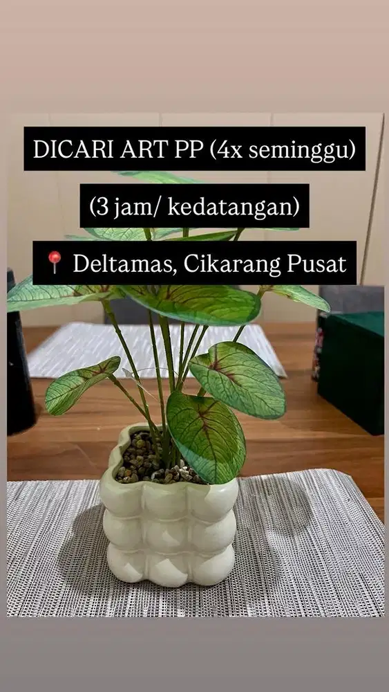 ART PULANG-PERGI (PP) 4X SEMINGGU