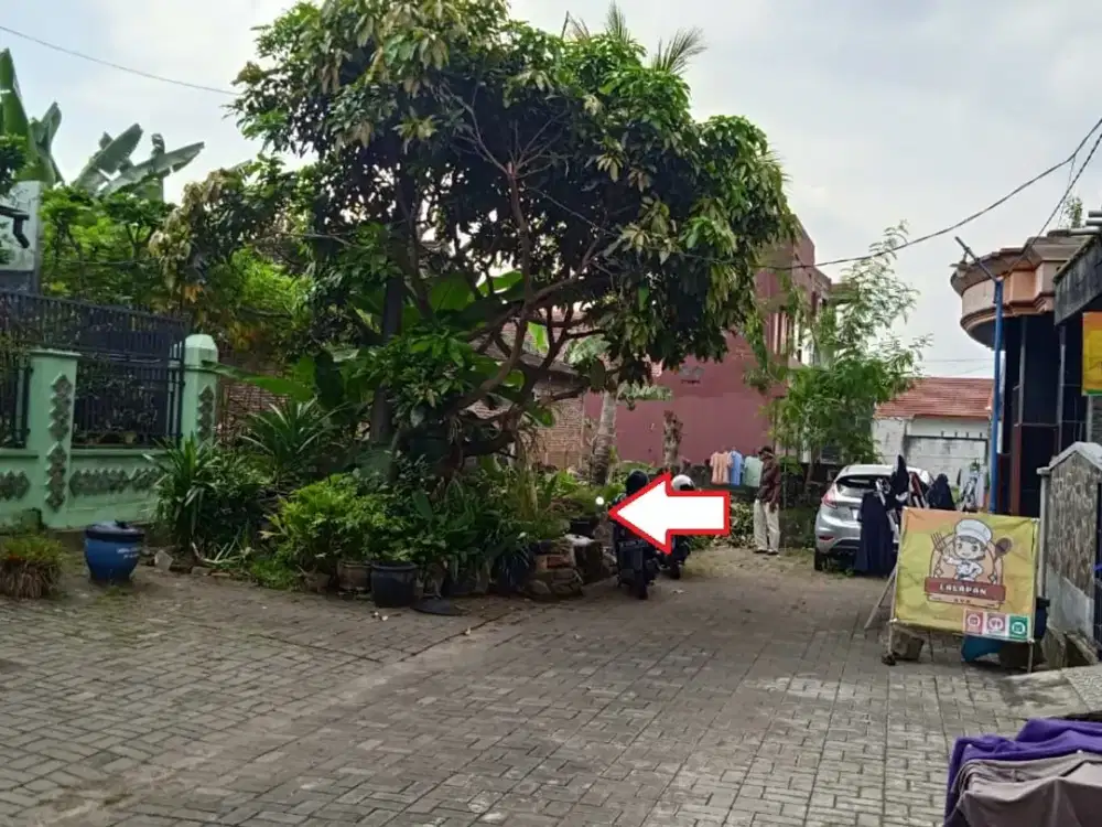 Tanah Tunjungsekar Lowokwaru Malang Ikan Gurami Dijual murah B.U Poll