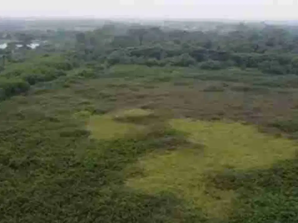 Disewakan Lahan Luas Sangat Strategis di Rorotan Jakarta Utara