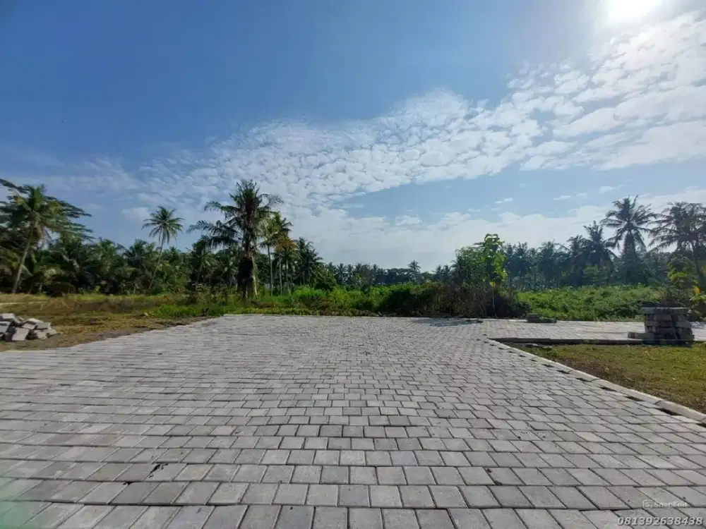 Dijual Tanah Area Tawangsari Kulon Progo Dekat Jalan Provinsi Wates