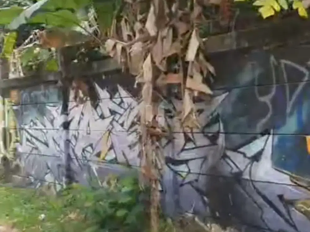 TANAH DI JUAL ALAN RAYA  PEROPINSI CIBADAK  TIGARAKSA HARGA JUAL DUA JUTA PERMETER