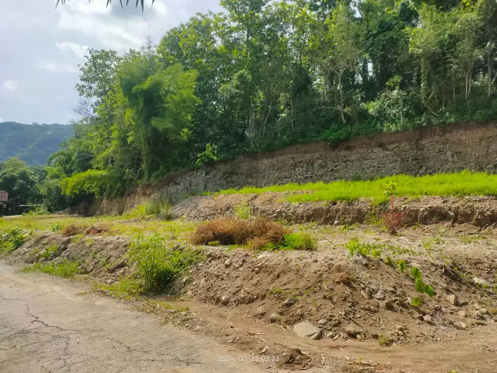 Dekat Hutan Pinus, Tanah SHM Bantul Cocok Investasi Cicilan 0%