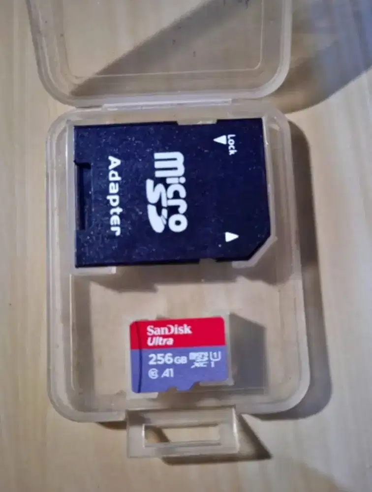 Sandisk ultra 256gb