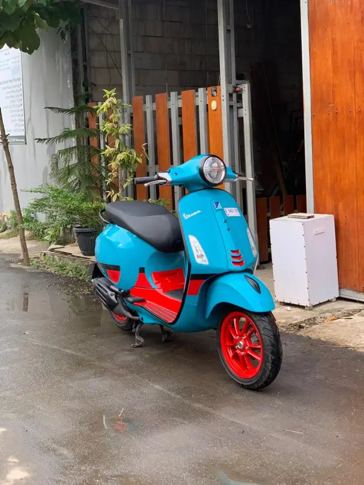 primavera color vibe