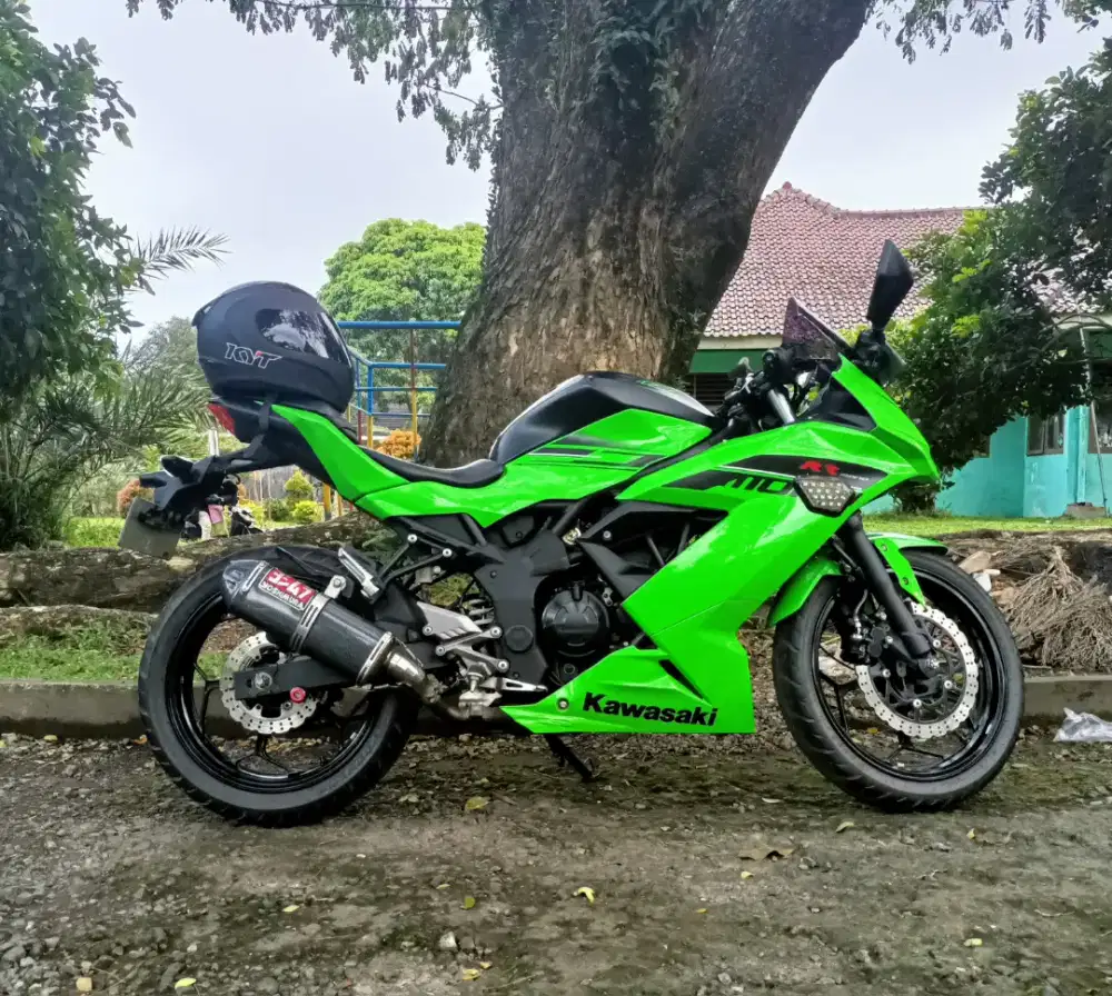 Ninja 250 RR Mono