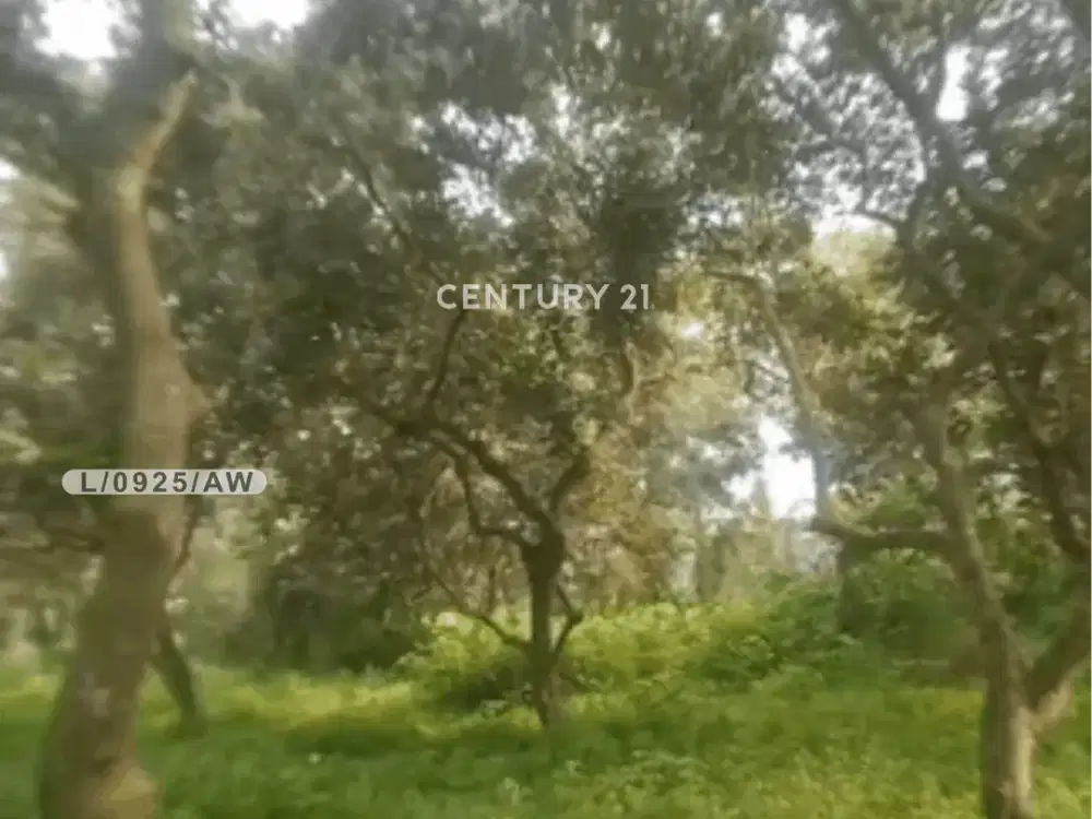 Tamah Luas Dan Strategis Lokasi Di Kecamatan Tirtamulya Karawang