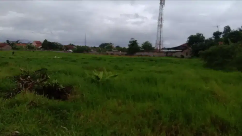 Jual tanah murah di kota serang