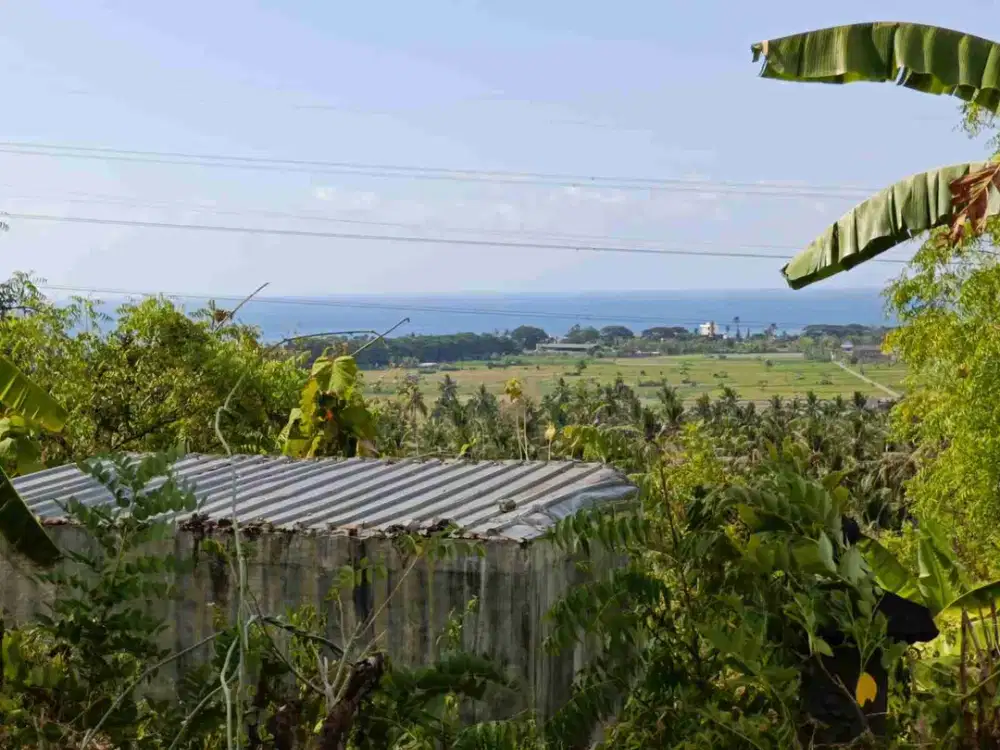 unblock view to ocean  9 are close to the beach