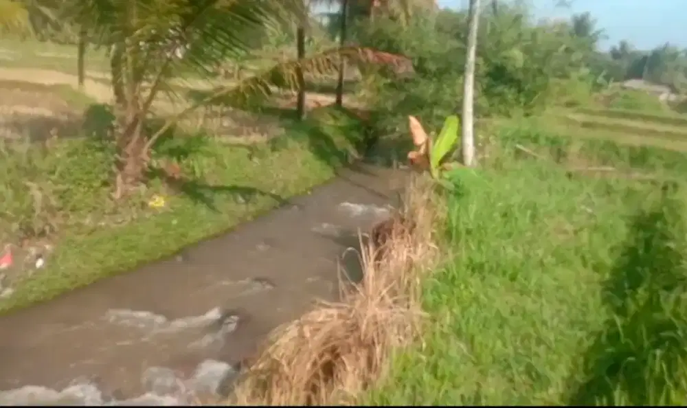 Lokasi pinggir sungai dijual cepat