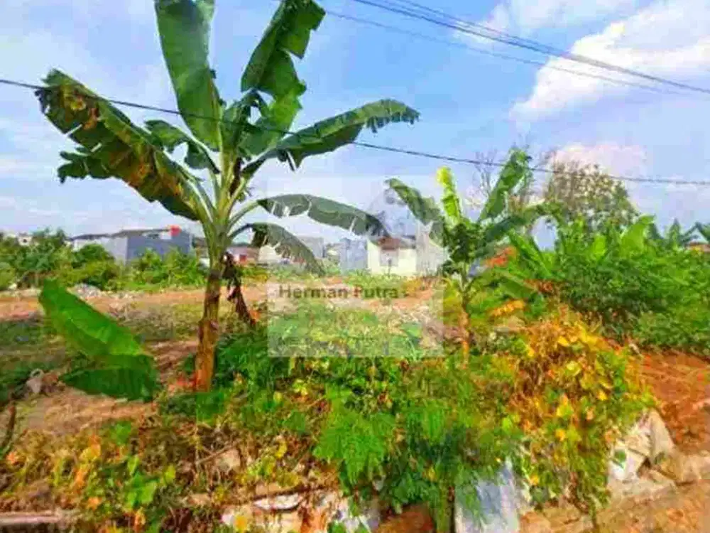 Tanah Tembalang Bulusan Undip