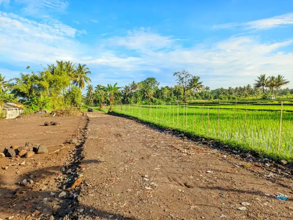 8 Menit Pemda Sleman-Tanah Dekat Jl Magelang Jogja