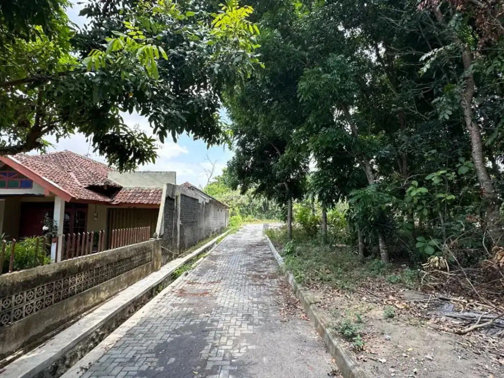 Tanah Kalasan 100 Meter Timur Jalan Raya LPMP