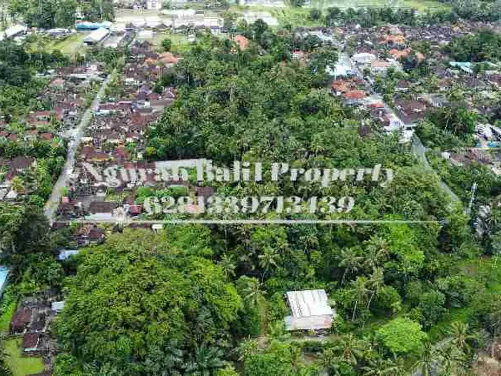 BUC Murah Disewakan Tanah Luas 30,70 Are View Kebun Kawasan Villa di Ubud - Thumbnail 2