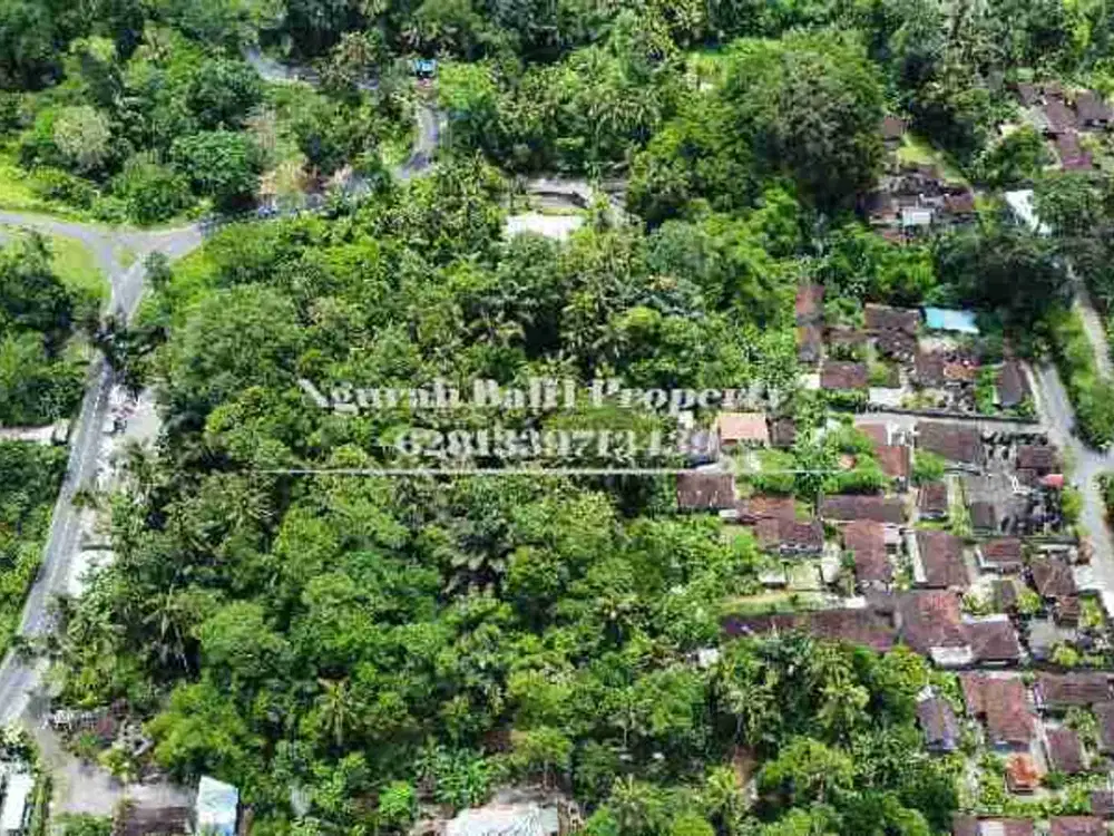 BUC Murah Disewakan Tanah Luas 30,70 Are View Kebun Kawasan Villa di Ubud - Thumbnail 3