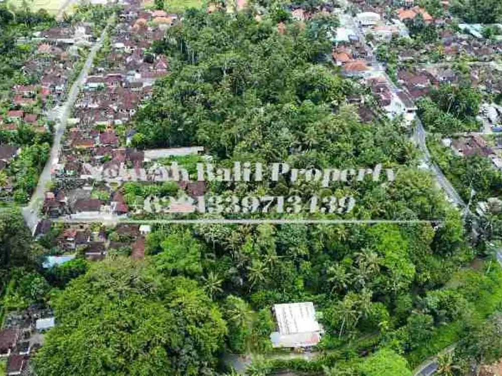 BUC Murah Disewakan Tanah Luas 30,70 Are View Kebun Kawasan Villa di Ubud - Thumbnail 4