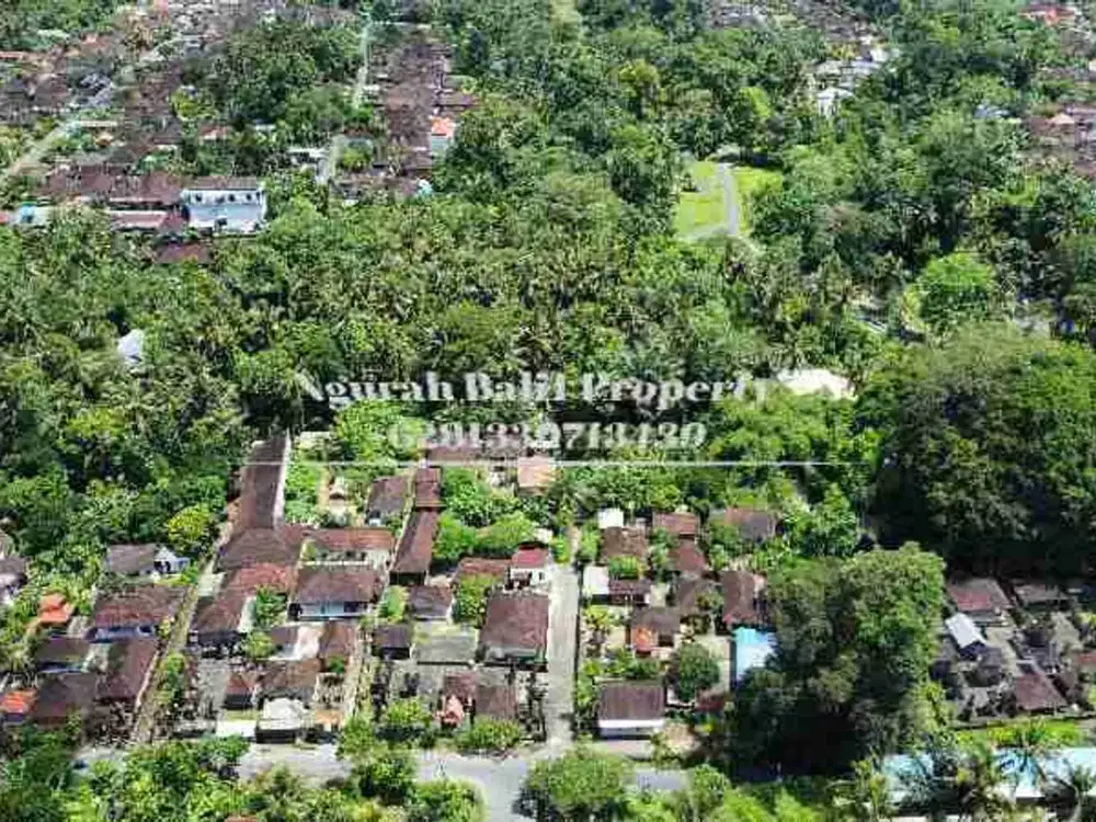 BUC Murah Disewakan Tanah Luas 30,70 Are View Kebun Kawasan Villa di Ubud