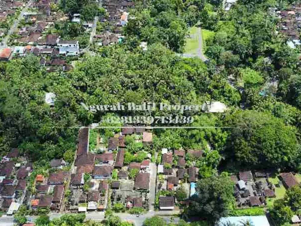 BUC Murah Disewakan Tanah Luas 30,70 Are View Kebun Kawasan Villa di Ubud - Thumbnail 6