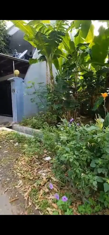 *Dijual Tanah Gayung Kebonsari LVK*