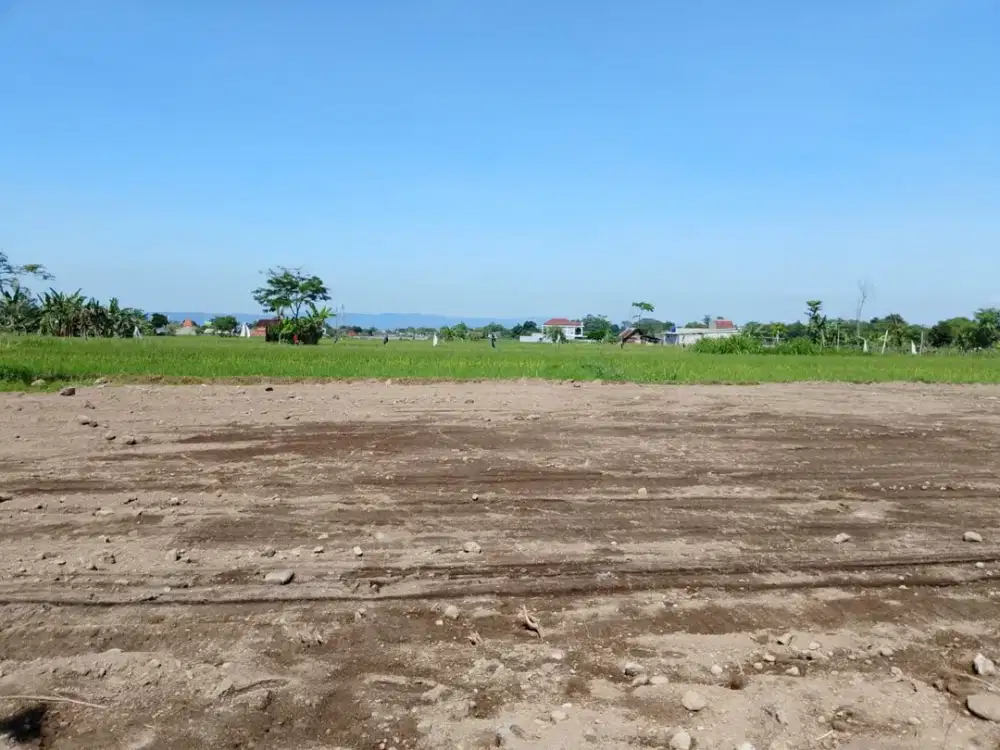 2 Menit Pamella 7 Supermarket, Tepi Jl. Raya Sambiroto, Peruntukan Usaha