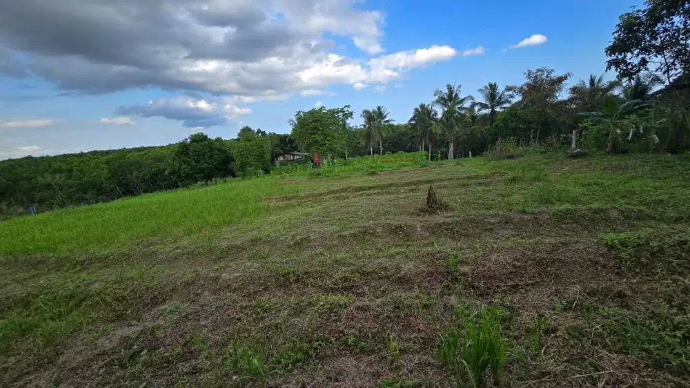 di jual Murah tanah bersertifikat bebas sengketa di kariangau