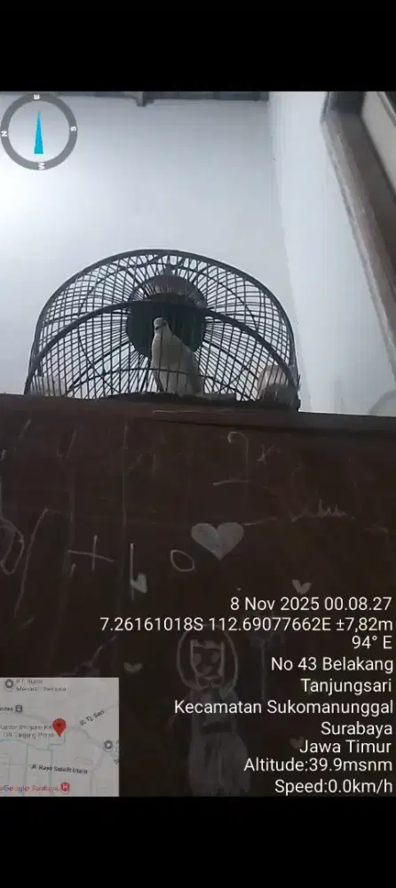 PUTER PELUNG MENANGIS