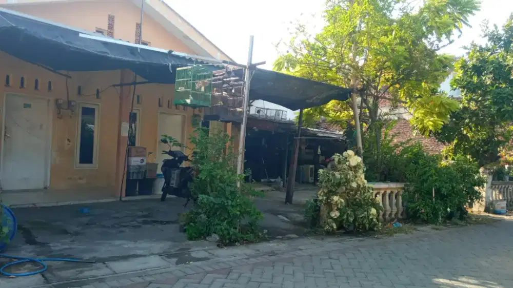 dijual rumah kost luas kendangsari gg lebar