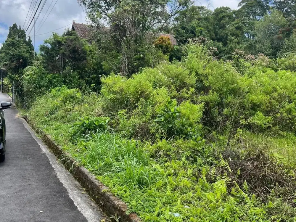 TANAH 9 ARE KAWASAN. BEDUGUL