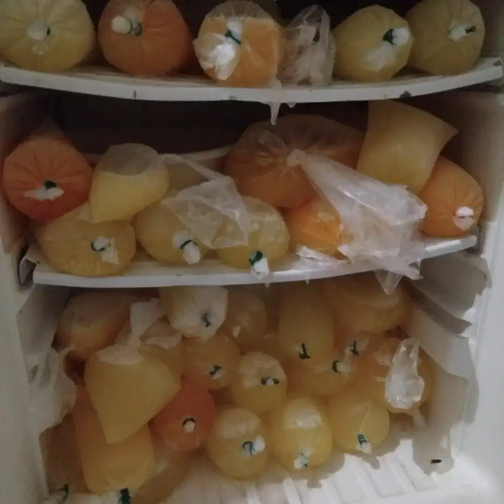 Putih telor masih segar langsung masuk frezer