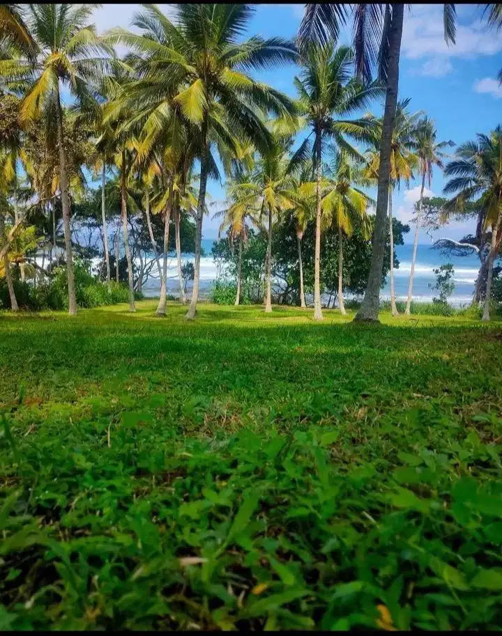 Beach front surfer paradise bali