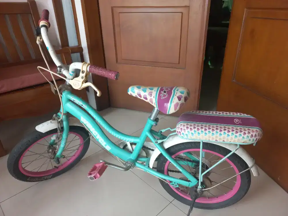 Sepeda anak  murah