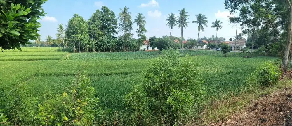 Dijual Tanah Luas 7390 m2