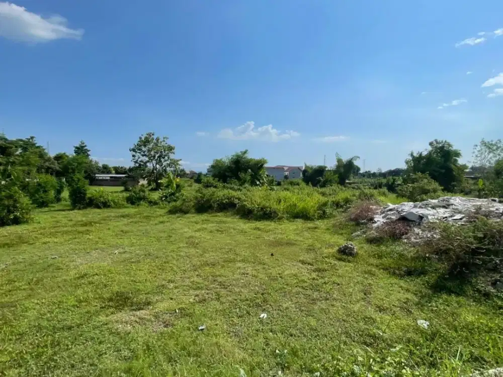 Tanah Bantul Pinggir Jalan Raya Barat Pasar Ngipik