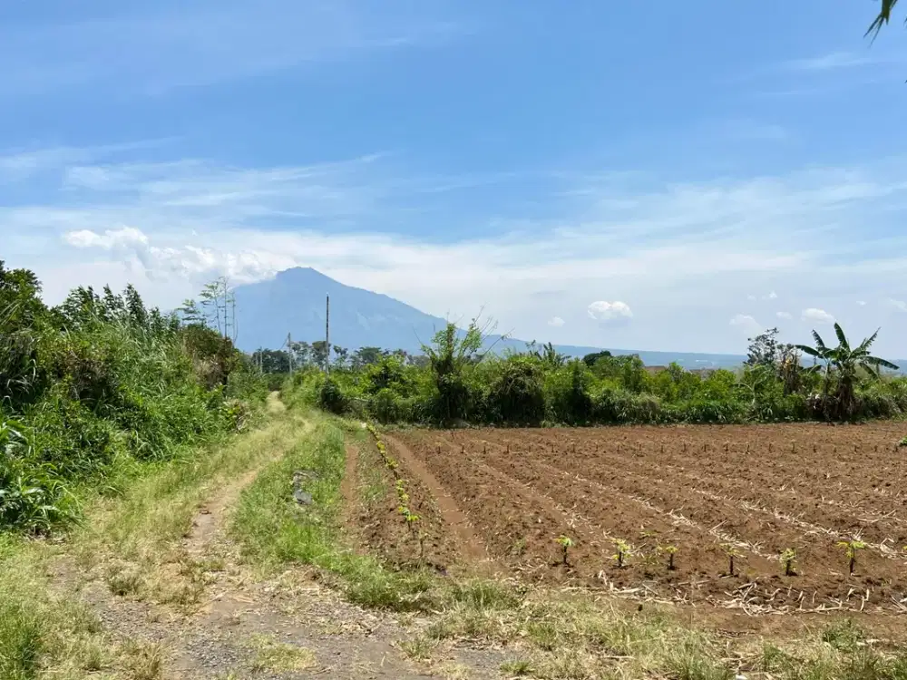 Tanah Kavling Landungsari Malang Dekat Pondok Thursina, Cocok Untuk Tabungan