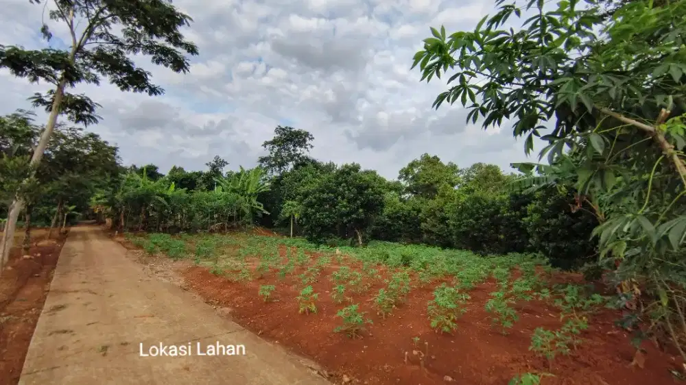 Dijual tanah Pekarangan