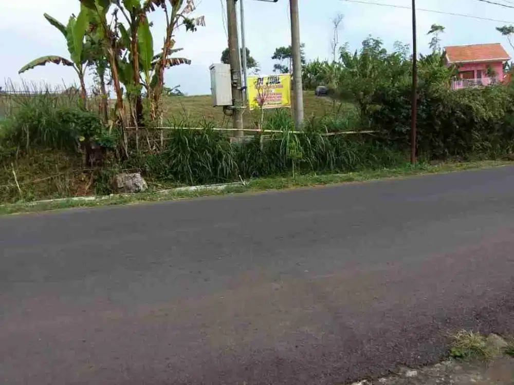 Tanah Murah Luas 7 Hektar di Poros Jalan Raya Nongkojajar Kabupaten Pasuruan