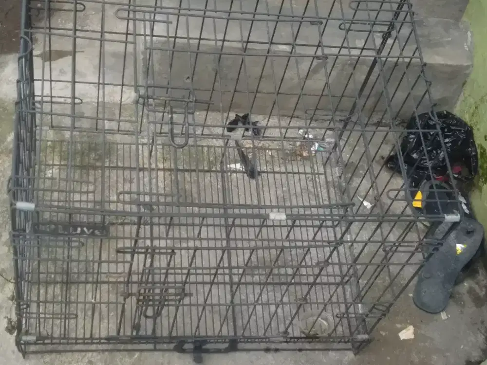 Kandang kucing bekas