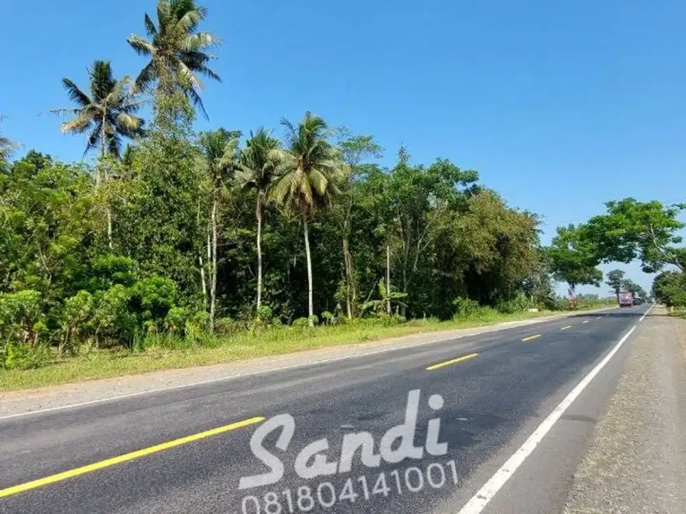 Tanah Strategis Murah Dekat Wisata Pantai Glagah