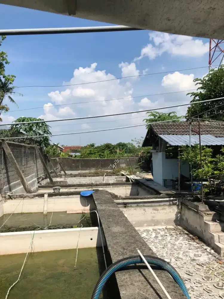 Dijual Tanah Strategis 2 menit dari Tol Ngawen 1,6 juta/m