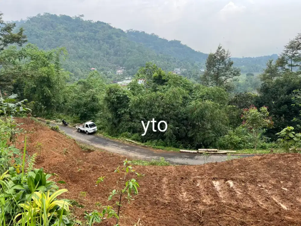 Jual tanah bonus pohon buah2an lokasi ngargoyoso lt 1215m hrg 350jt ne