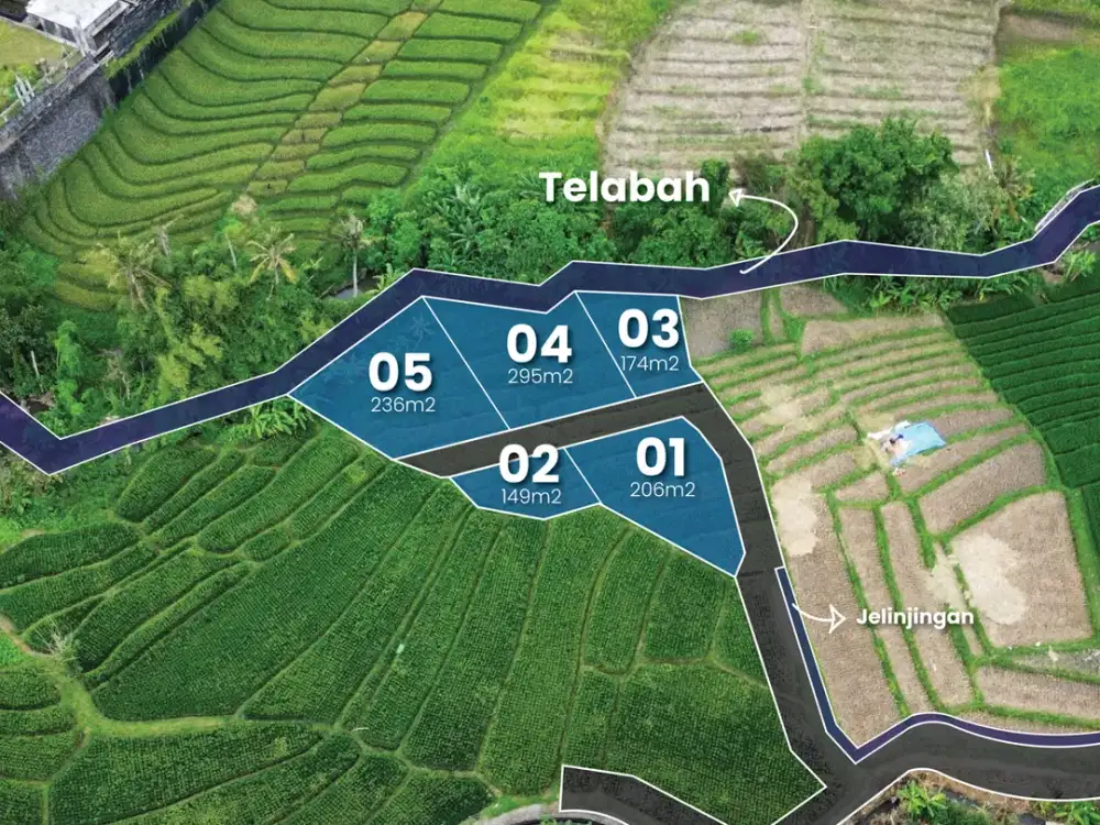 Tanah Kavling View Sawah di Area Munggu – Seseh