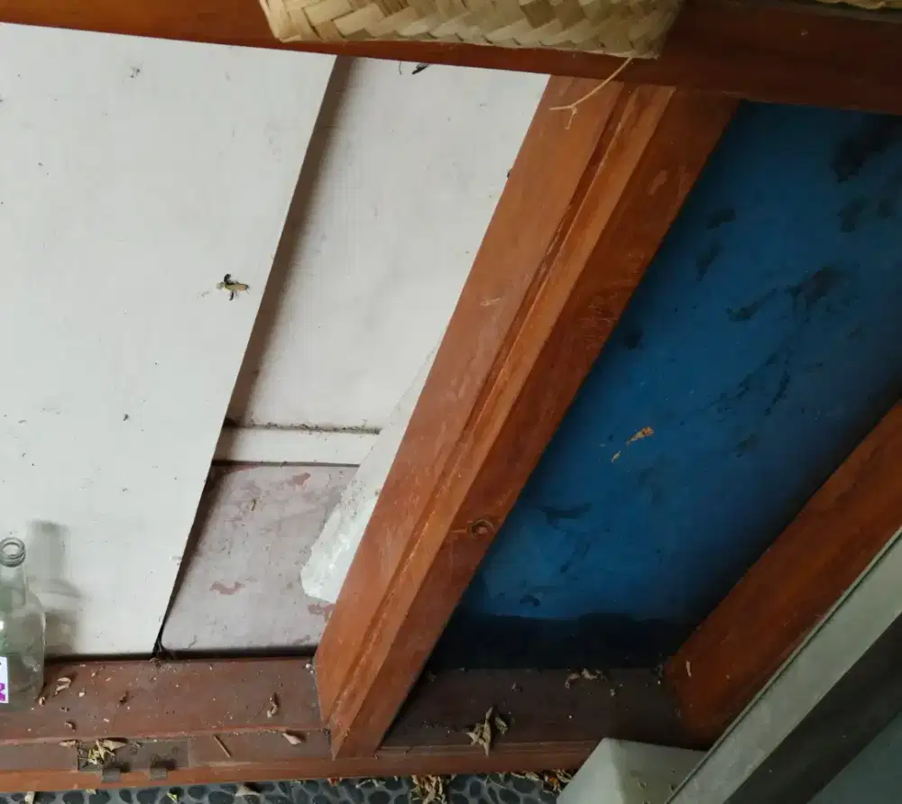 Kusen Pintu dan Jendela Kayu Jati