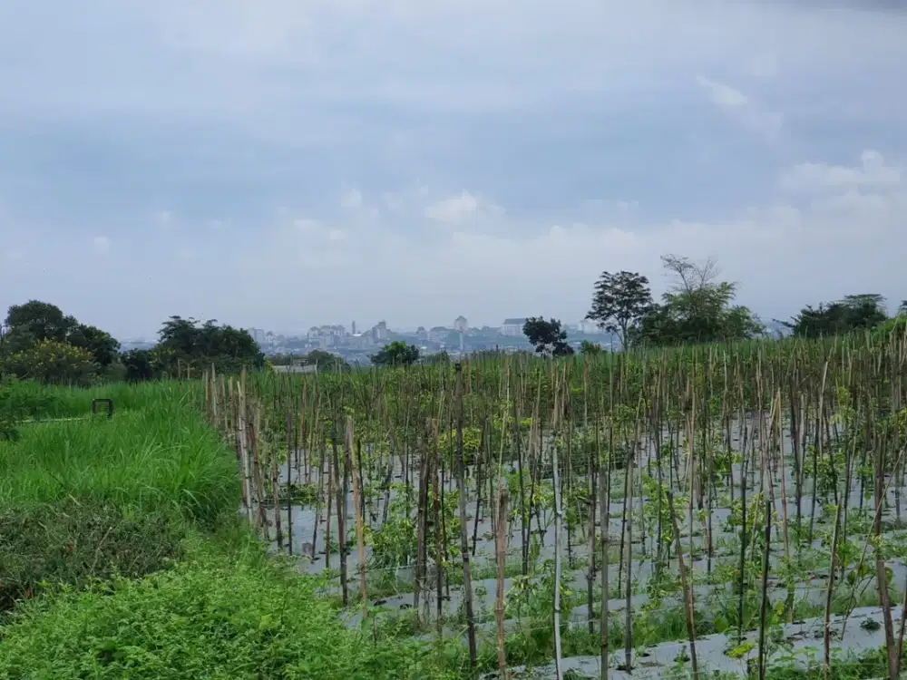 Dijual Tanah di Joyoagung Malang 200m² – 10 Menit ke UB, Ideal untuk Investasi Kos