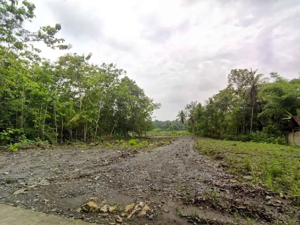 Tanah Murah SHM Siap AJB Dekat Exit Tol Banguncipto Dan Pasar Nyonyol