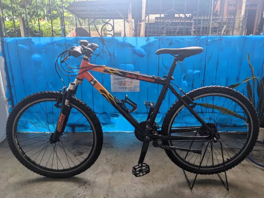 Sepeda MTB Custom