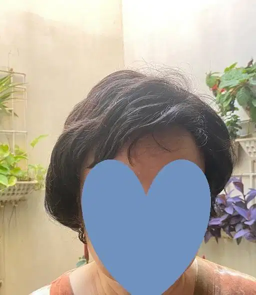 WIG RAMBUT PENDEK – MERK ESTETICA - PRELOVED