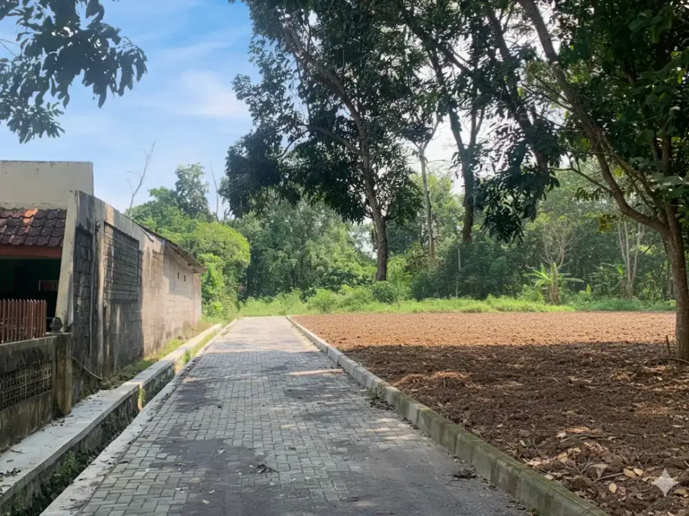 DIJUAL CEPAT! Tanah Pekarangan Kalasan, Harga Mulai 2 Juta-an