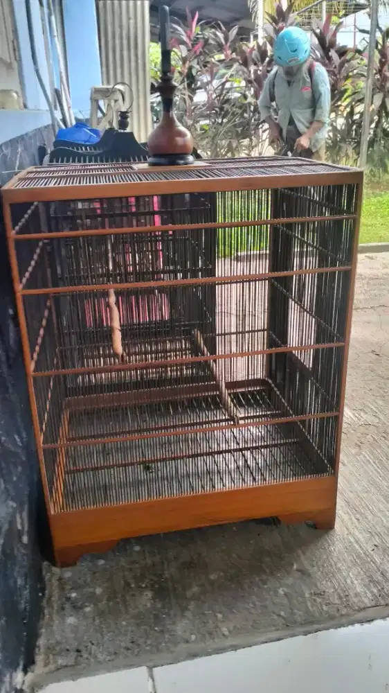 Kandang jeruji rapet x cucak Rowo