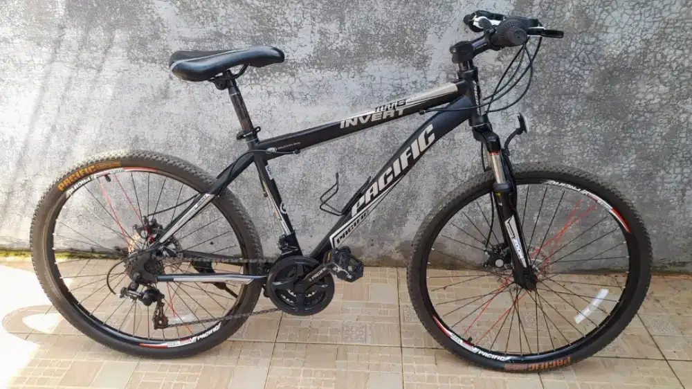 Sepeda Pacific Invert 200