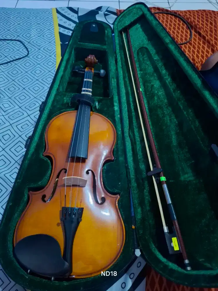 Biola mulus no minus